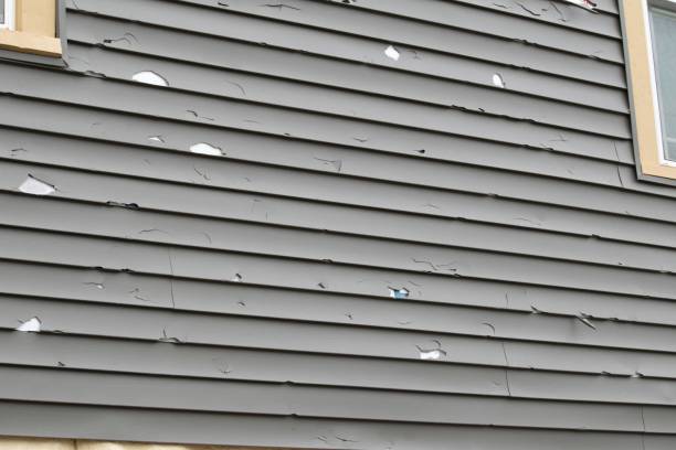 Best Siding Painting and Refinishing  in Goldsby, OK